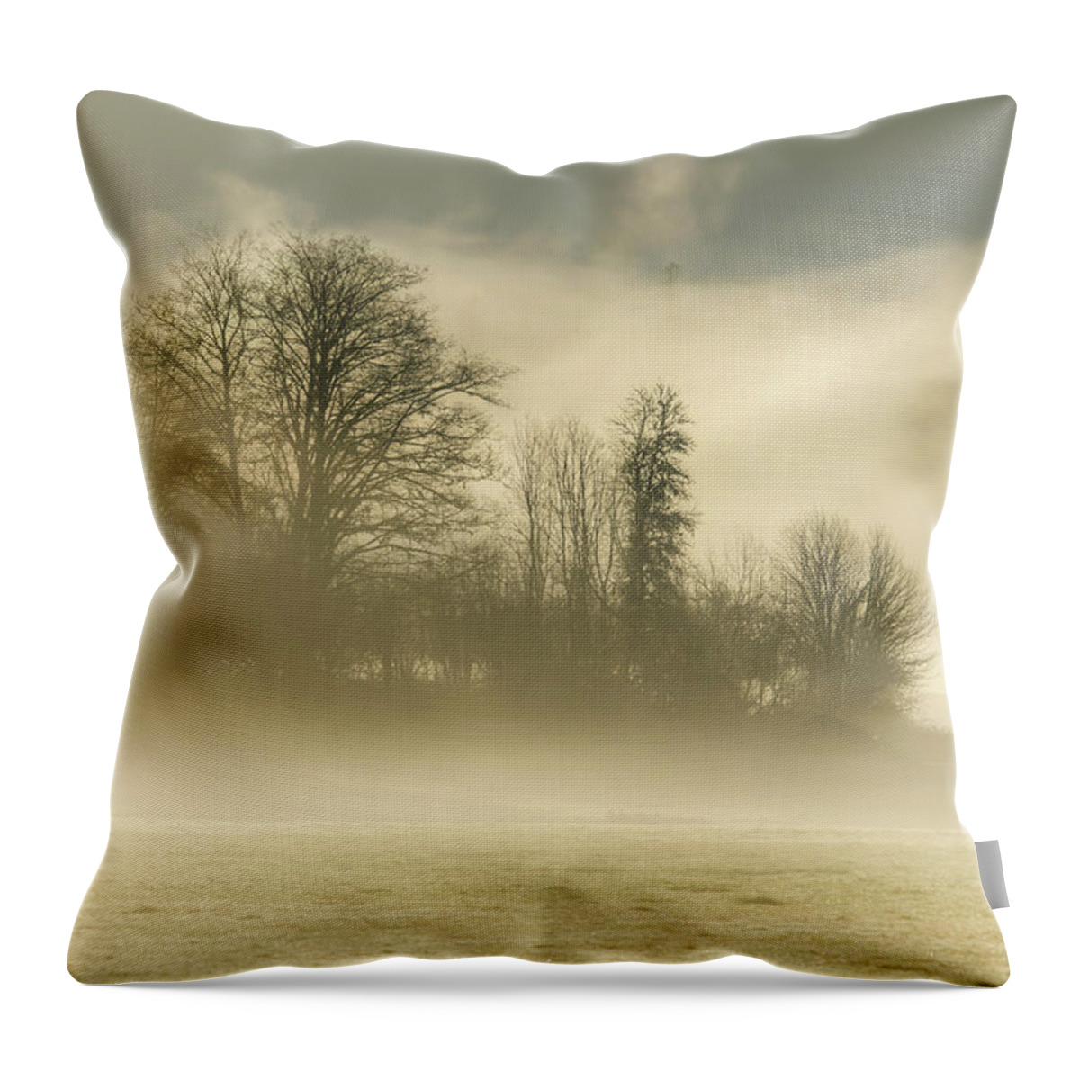 Fog Throw Pillow featuring the photograph Morning Mood 0741 by Kristina Rinell