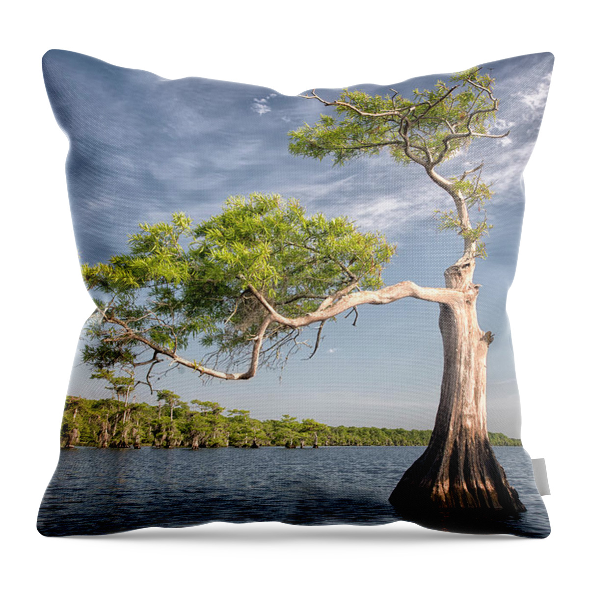 Crystal Yingling Throw Pillow featuring the photograph Morning Stretch by Ghostwinds Photography