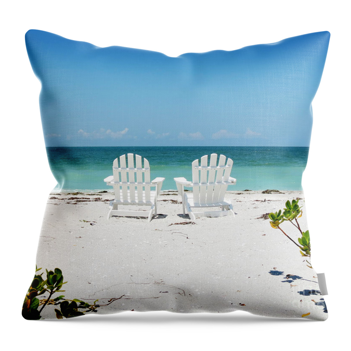 Florida Throw Pillow featuring the photograph Morning View by Chris Andruskiewicz