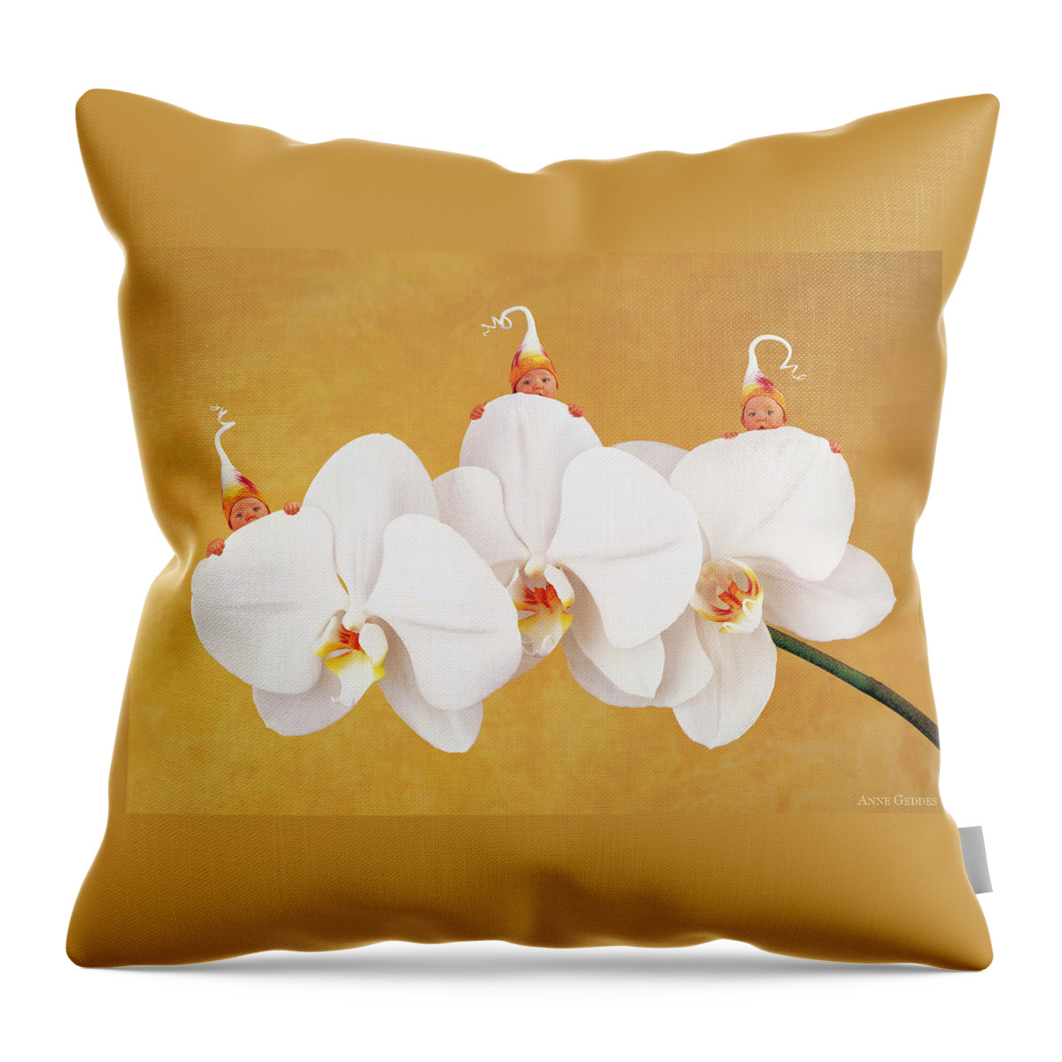 Triplets Throw Pillow featuring the photograph Moth Orchid by Anne Geddes