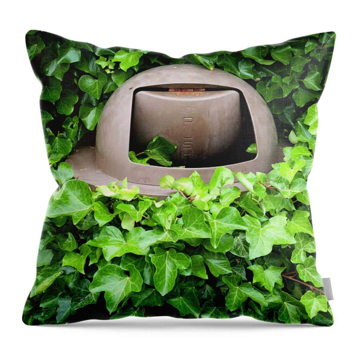 Ivy Throw Pillow featuring the photograph Mother Nature Most Always Wins by Mary Lee Dereske