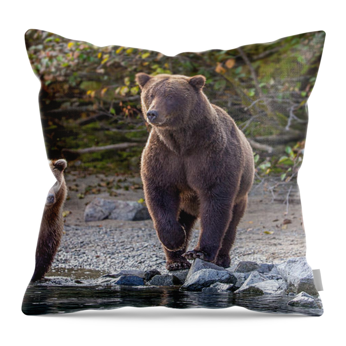 Porcupine Throw Pillow featuring the photograph Mother's Watch by Kevin Dietrich