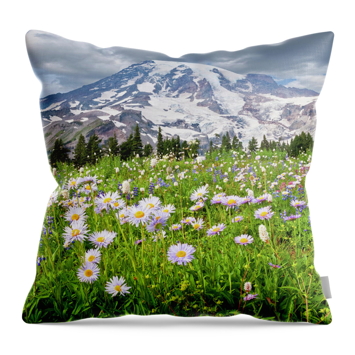 Alpine Throw Pillow featuring the photograph Mount Rainier and a Meadow of Aster by Jeff Goulden