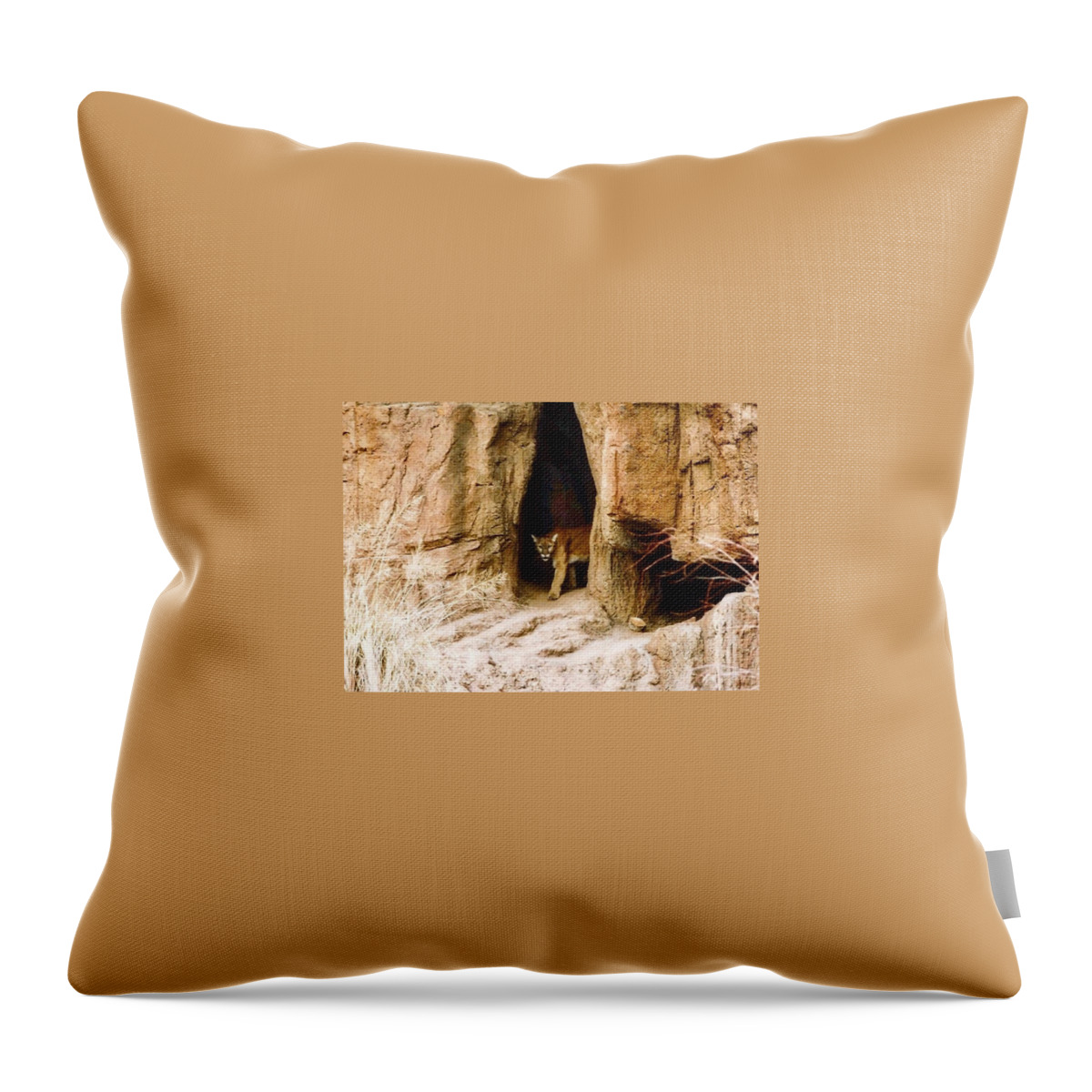 Arizona Throw Pillow featuring the photograph Mountain Lion in the Desert by Judy Kennedy