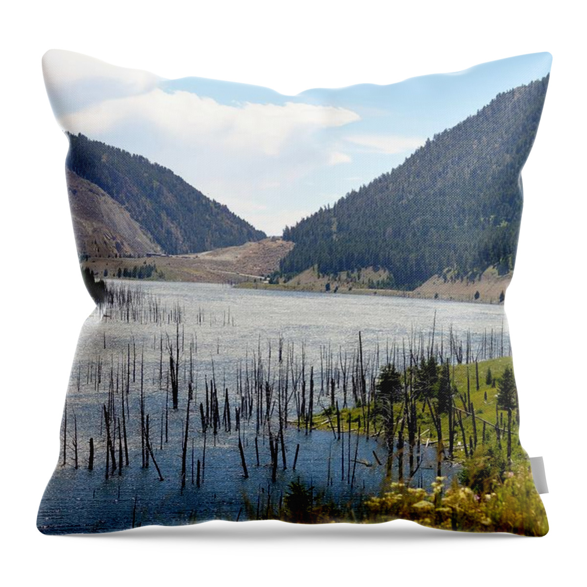  Throw Pillow featuring the photograph Mountain River by Michelle Hoffmann