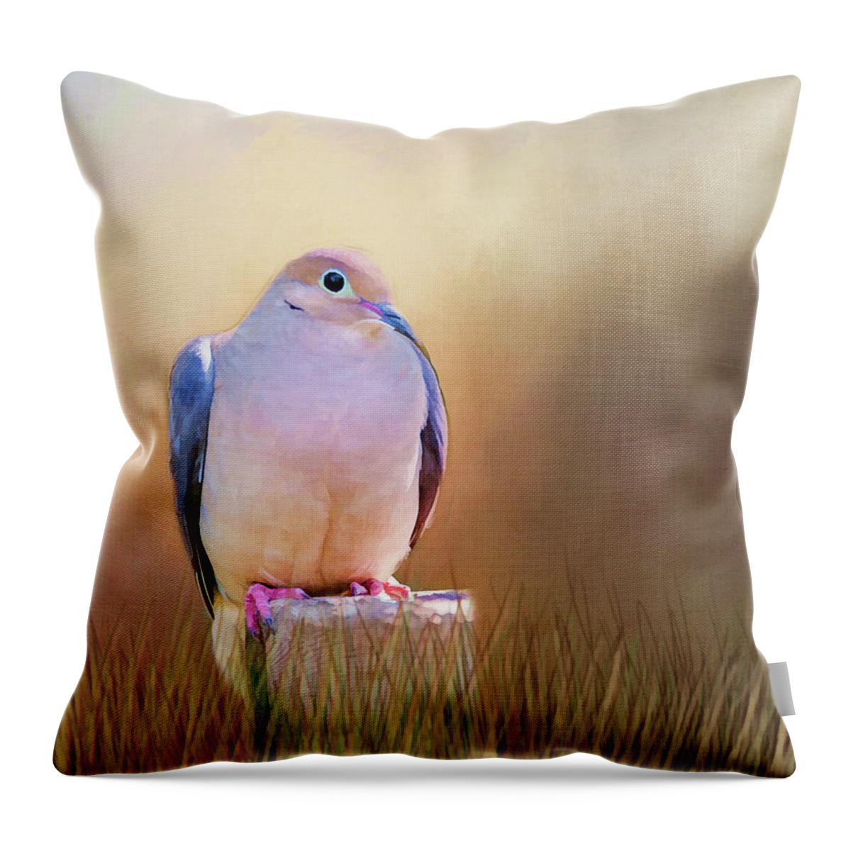 Dove Throw Pillow featuring the photograph Mourning Dove Painted Portrait by Cathy Kovarik