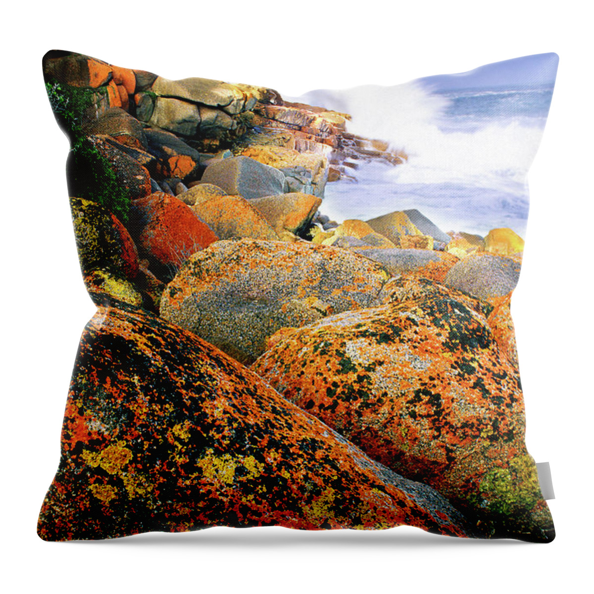 Multi-color Throw Pillow featuring the photograph Multicolor Rocks by Ted Keller