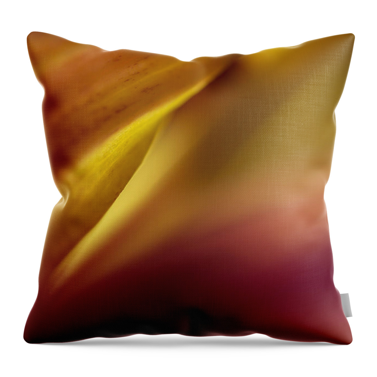 Flower Throw Pillow featuring the photograph Mum Abstract by Bob Cournoyer