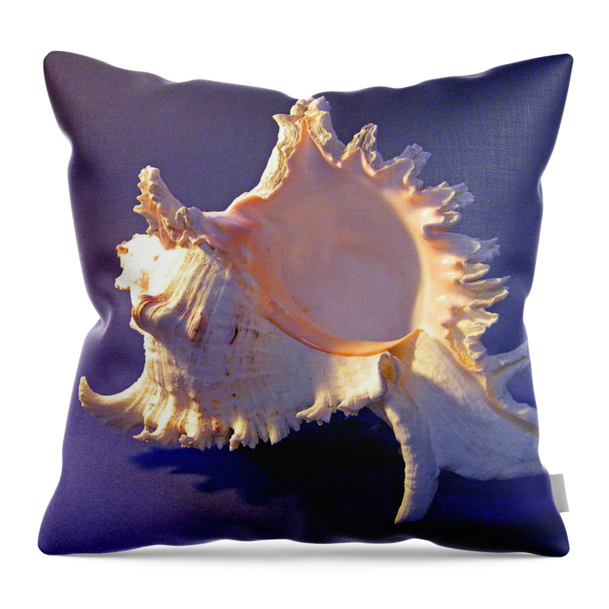 Frank Wilson Throw Pillow featuring the photograph Murex ramosus Seashell by Frank Wilson