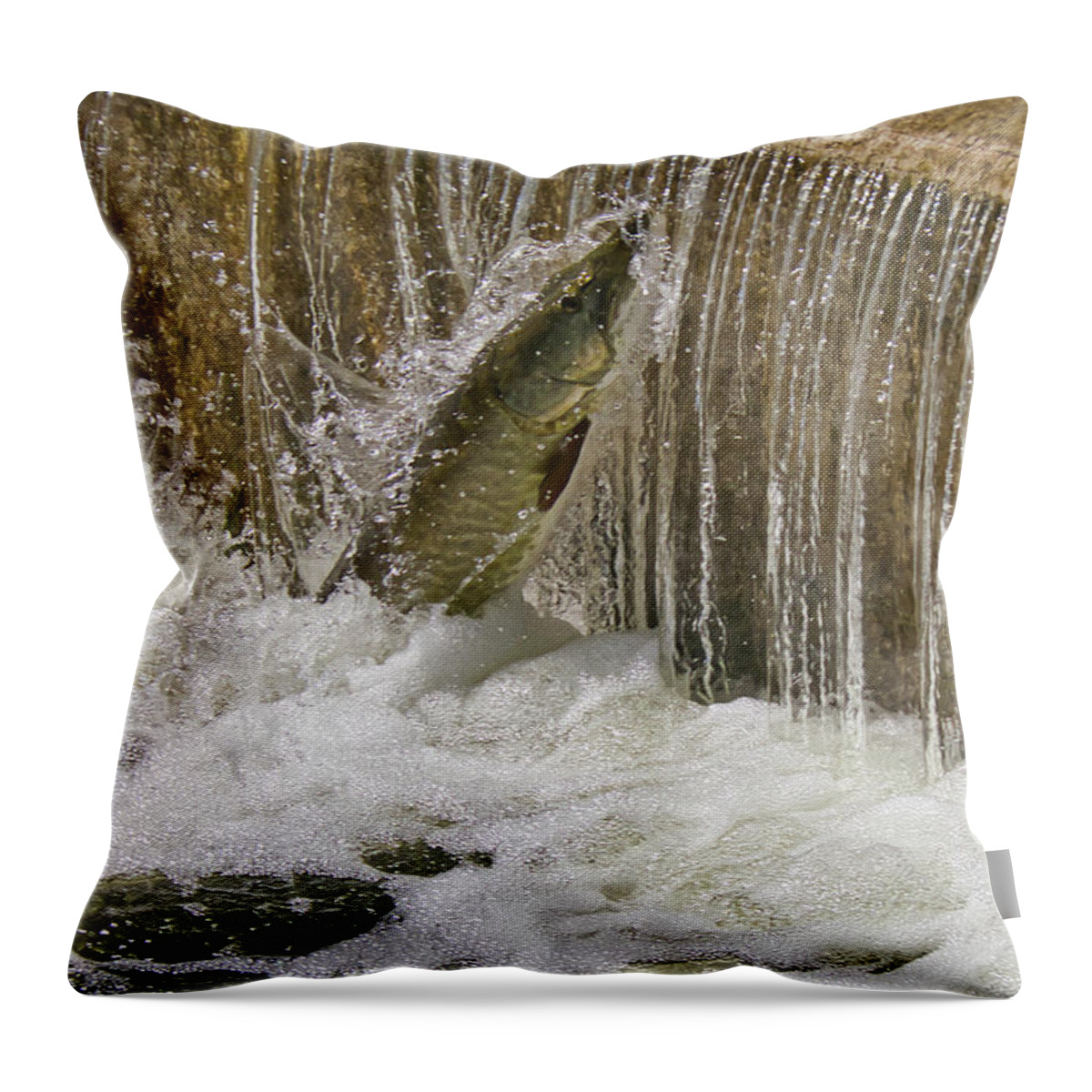 Muskie Throw Pillow featuring the photograph Muskie 2 - Lake Wingra - Madison - Wisconsin by Steven Ralser
