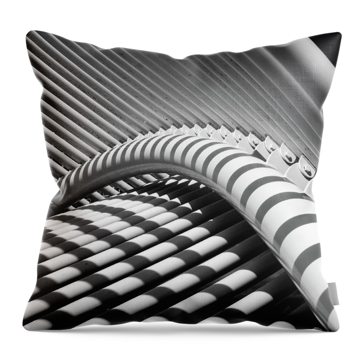 Abstract Throw Pillow featuring the photograph Myriad Garden Sculpture by James Barber