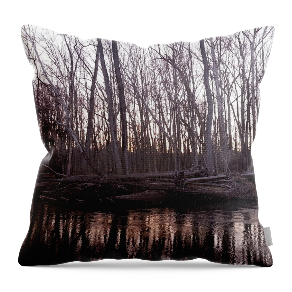 Landscape Throw Pillow featuring the photograph Naked by Dani McEvoy