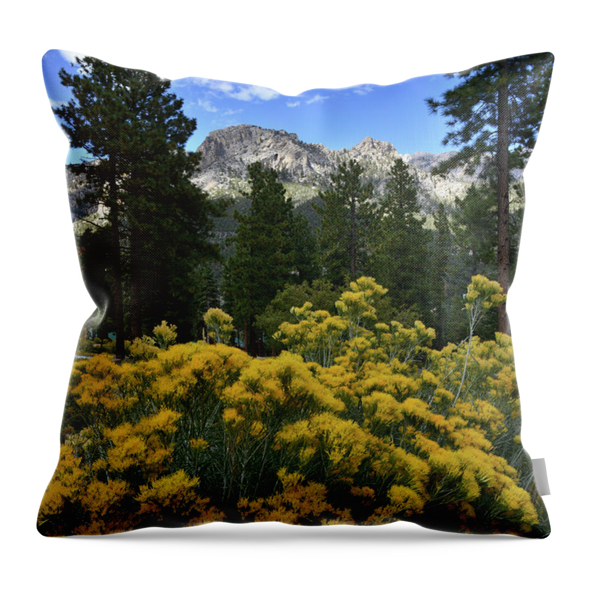 Humboldt-toiyabe National Forest Throw Pillow featuring the photograph Natural Area Beneath Mt. Charleston by Ray Mathis