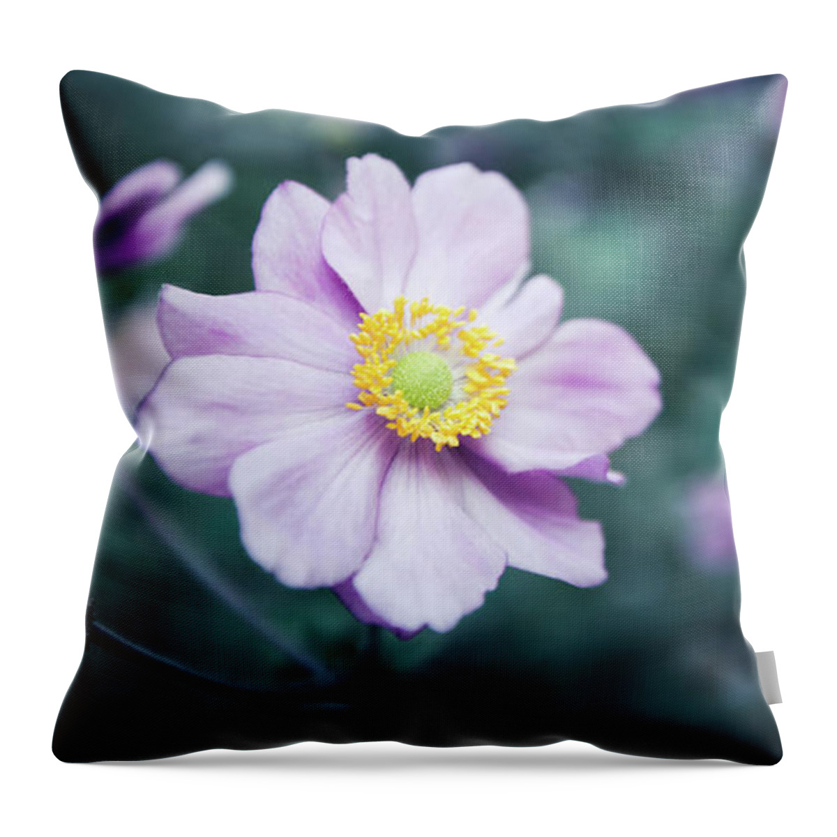 2x1 Throw Pillow featuring the photograph Natural Beauty by Hannes Cmarits