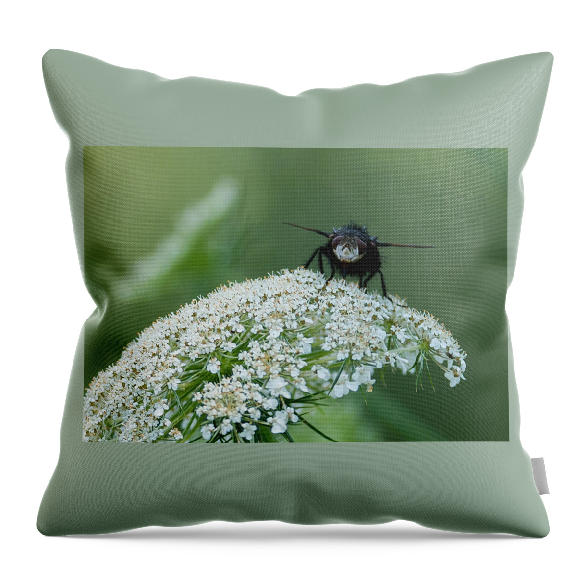 Plant Throw Pillow featuring the photograph Nature Up Close by Holden The Moment