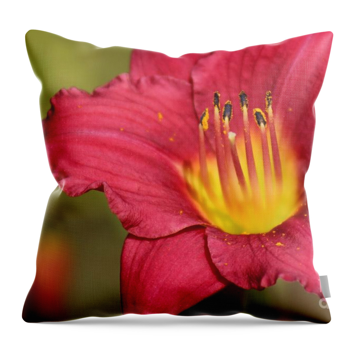 Pink Throw Pillow featuring the photograph Nature's Beauty 121 by Deena Withycombe