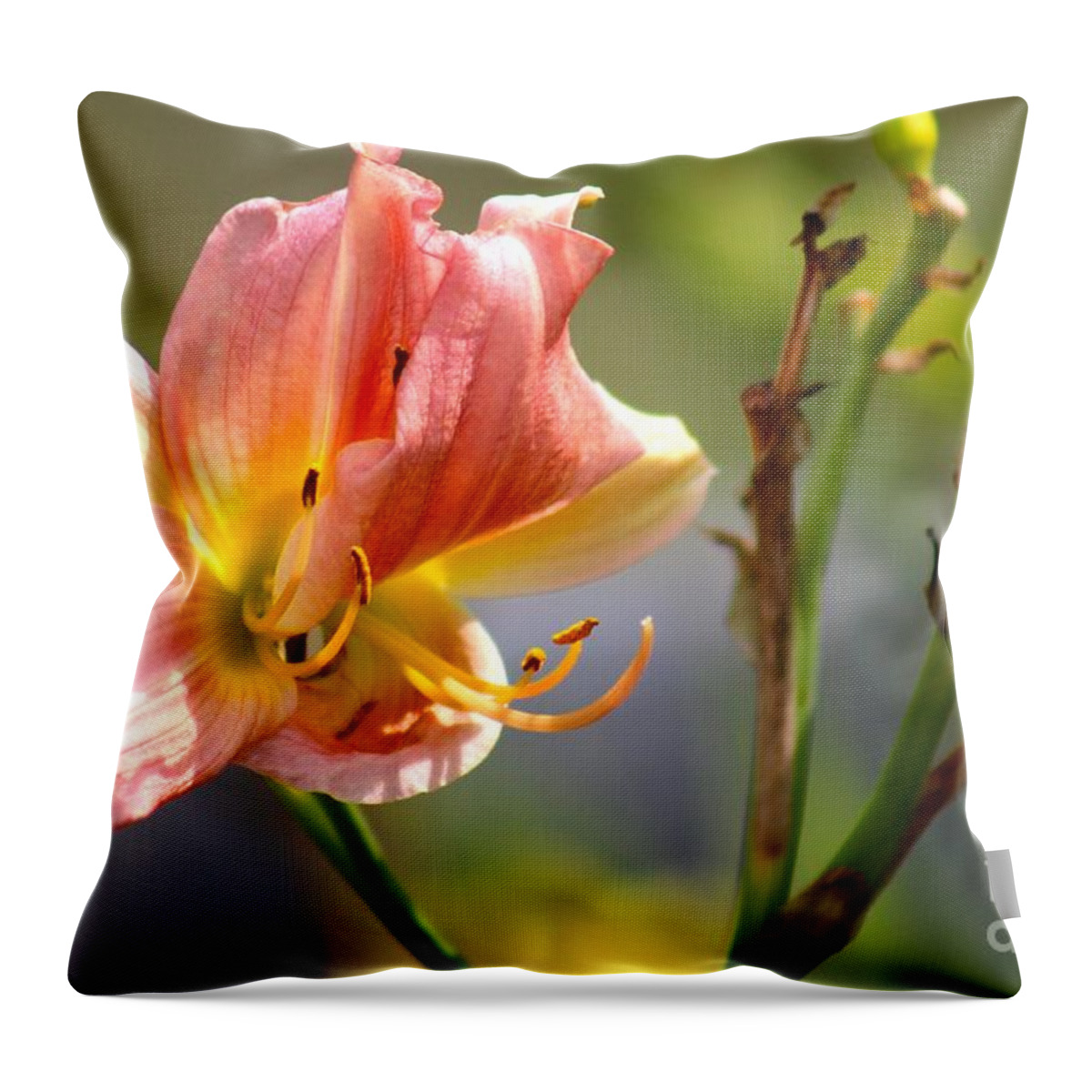 Pink Throw Pillow featuring the photograph Nature's Beauty 124 by Deena Withycombe