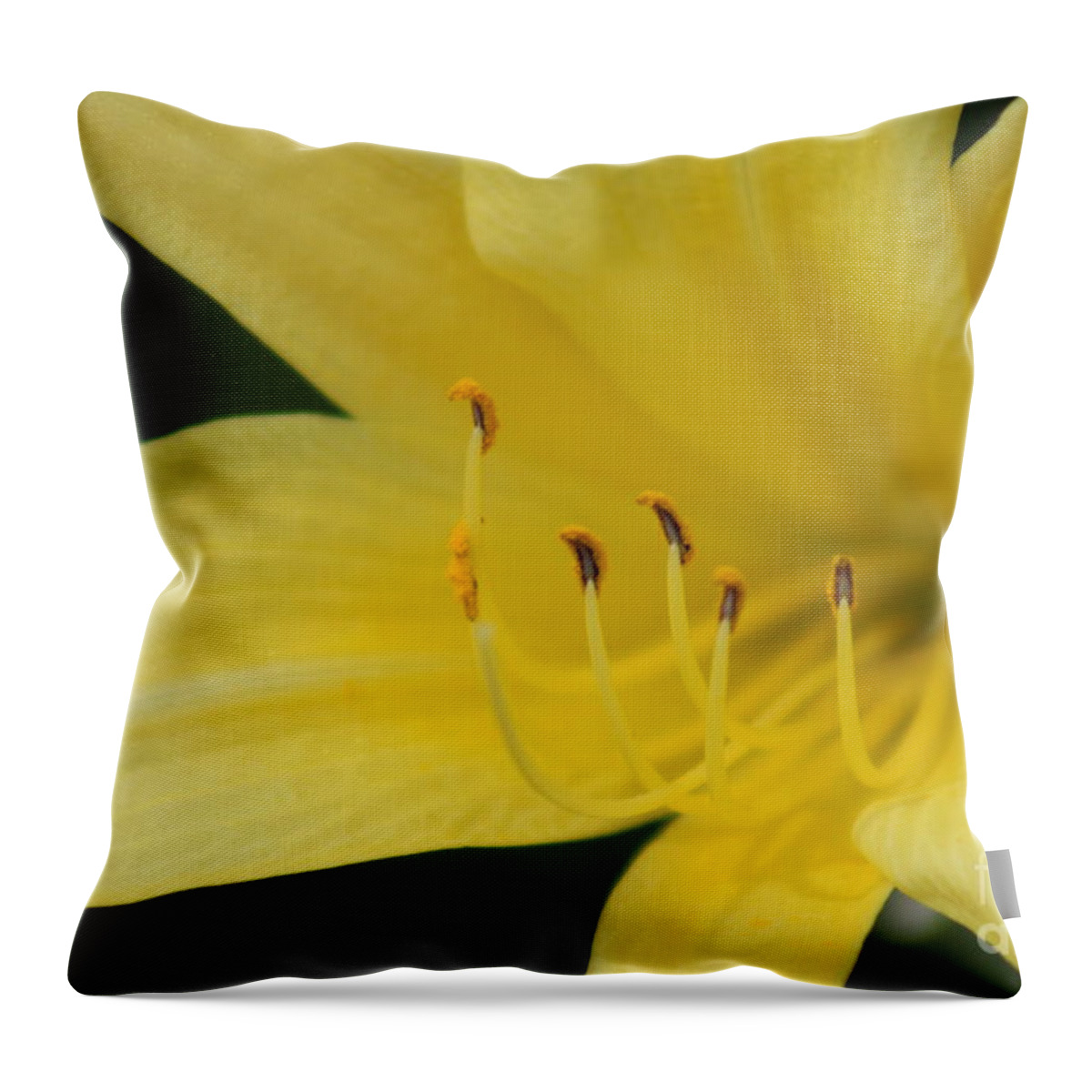 Yellow Throw Pillow featuring the photograph Nature's Beauty 39 by Deena Withycombe
