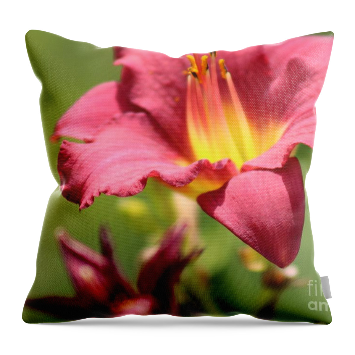 Yellow Throw Pillow featuring the photograph Nature's Beauty 44 by Deena Withycombe