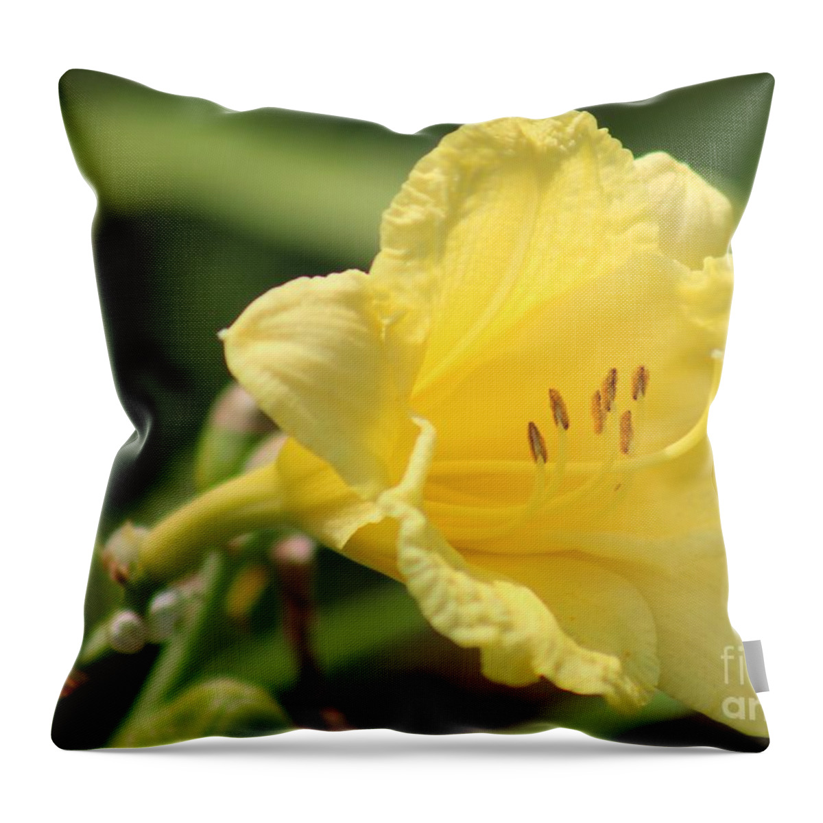 Yellow Throw Pillow featuring the photograph Nature's Beauty 46 by Deena Withycombe