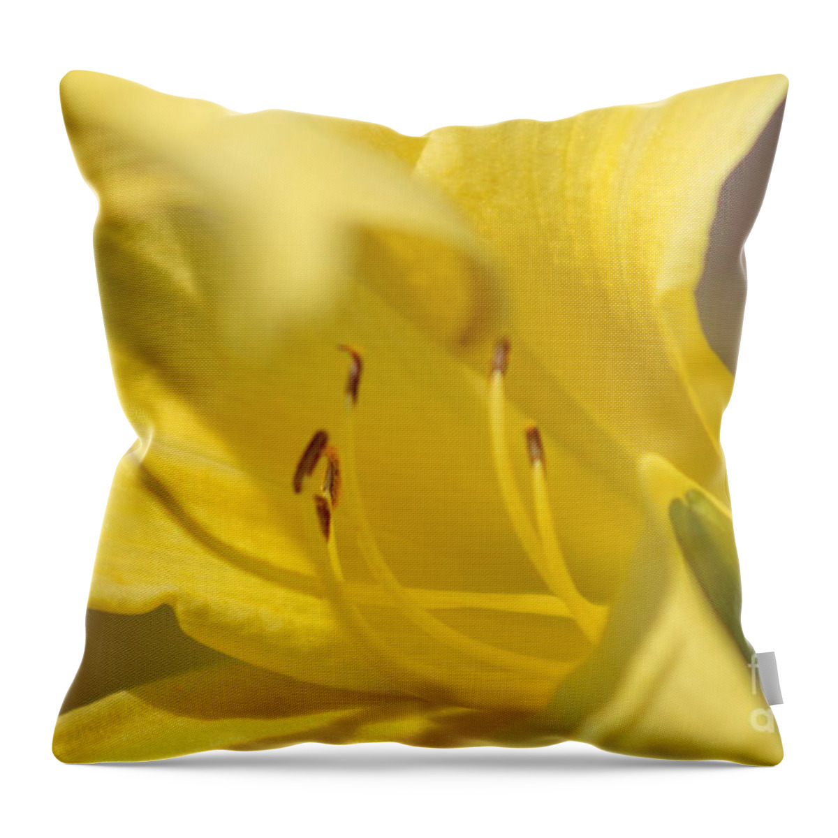 Yellow Throw Pillow featuring the photograph Nature's Beauty 47 by Deena Withycombe