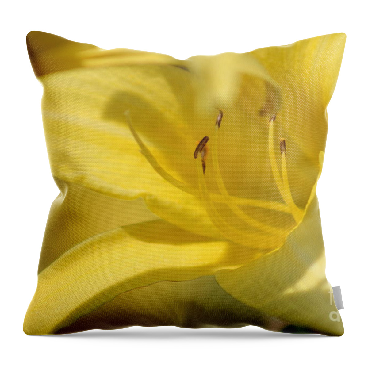 Yellow Throw Pillow featuring the photograph Nature's Beauty 49 by Deena Withycombe