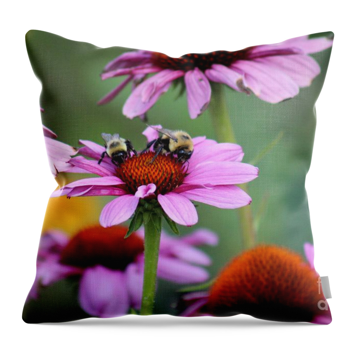 Pink Throw Pillow featuring the photograph Nature's Beauty 66 by Deena Withycombe
