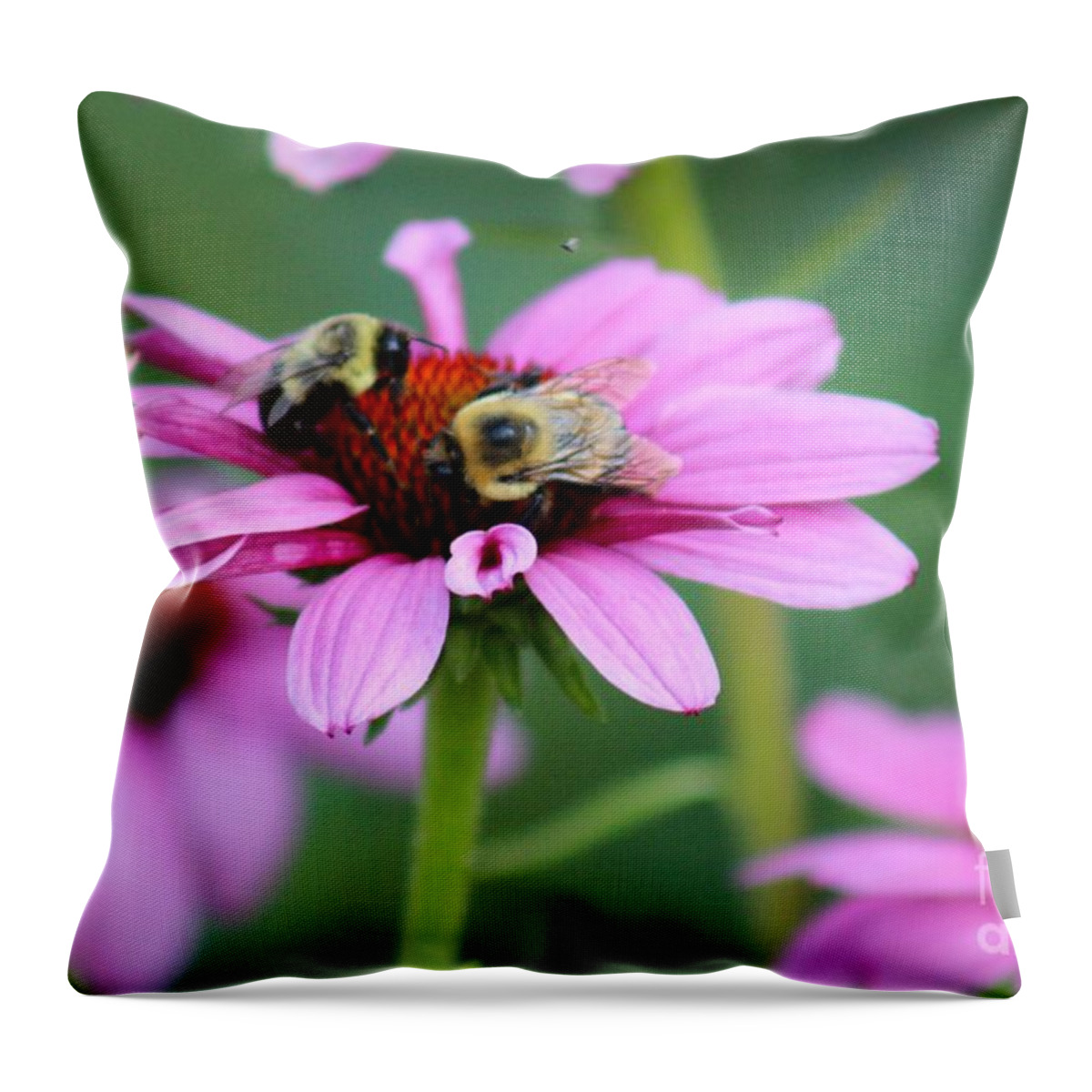 Pink Throw Pillow featuring the photograph Nature's Beauty 69 by Deena Withycombe