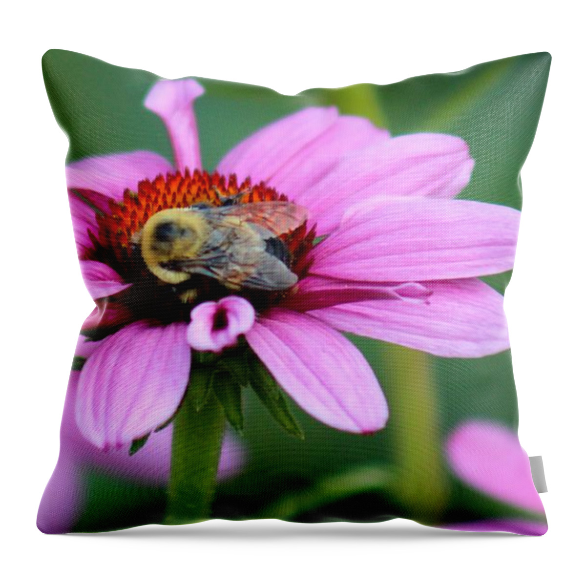 Pink Throw Pillow featuring the photograph Nature's Beauty 70 by Deena Withycombe