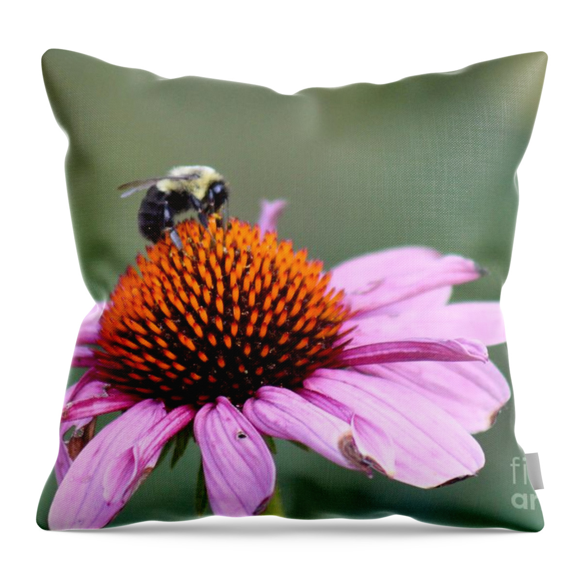 Pink Throw Pillow featuring the photograph Nature's Beauty 72 by Deena Withycombe