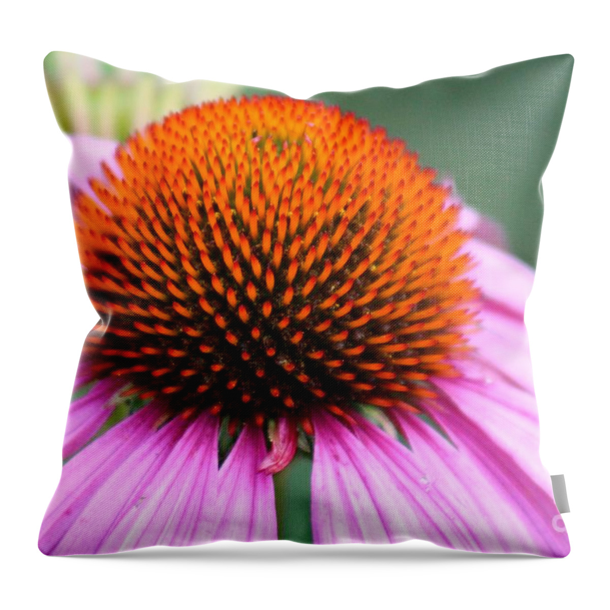 Pink Throw Pillow featuring the photograph Nature's Beauty 74 by Deena Withycombe
