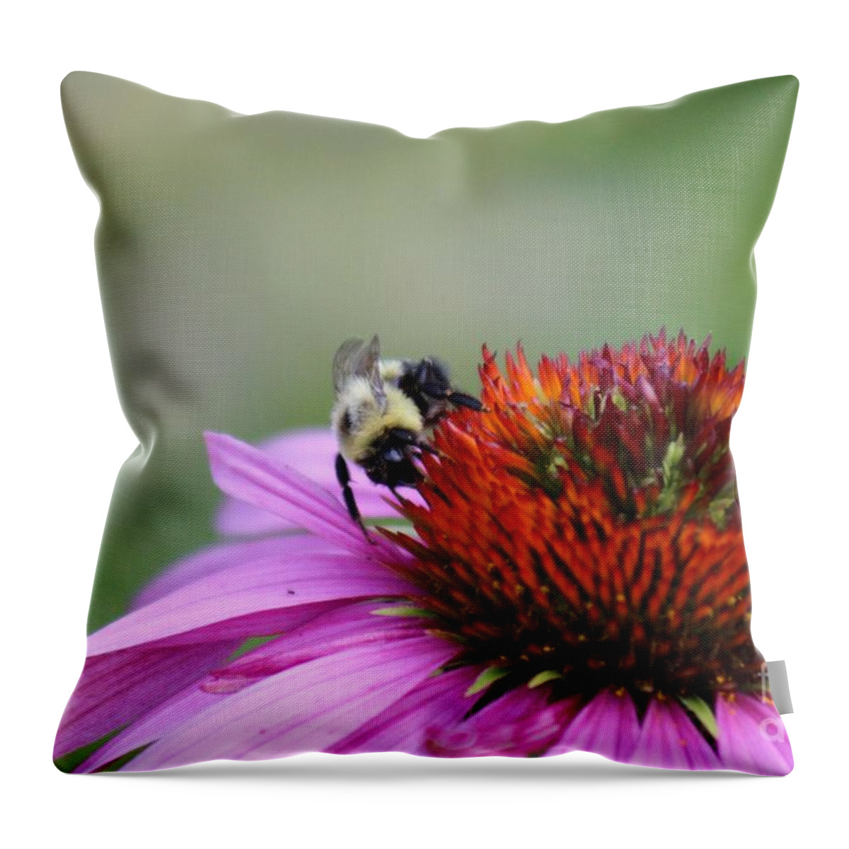 Pink Throw Pillow featuring the photograph Nature's Beauty 76 by Deena Withycombe