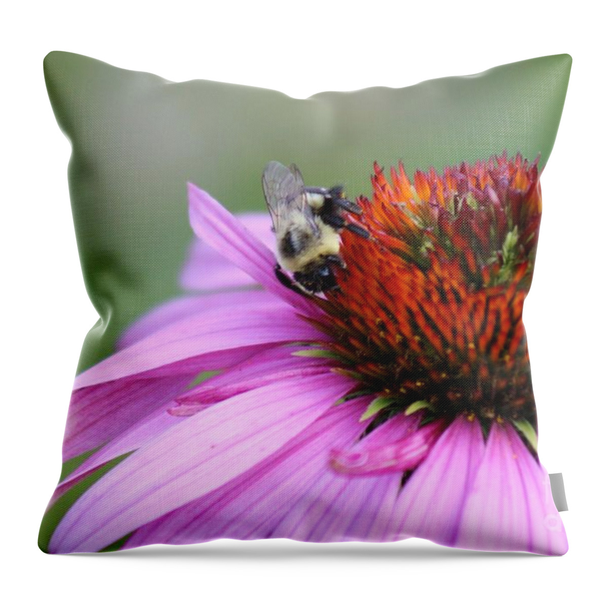 Pink Throw Pillow featuring the photograph Nature's Beauty 77 by Deena Withycombe