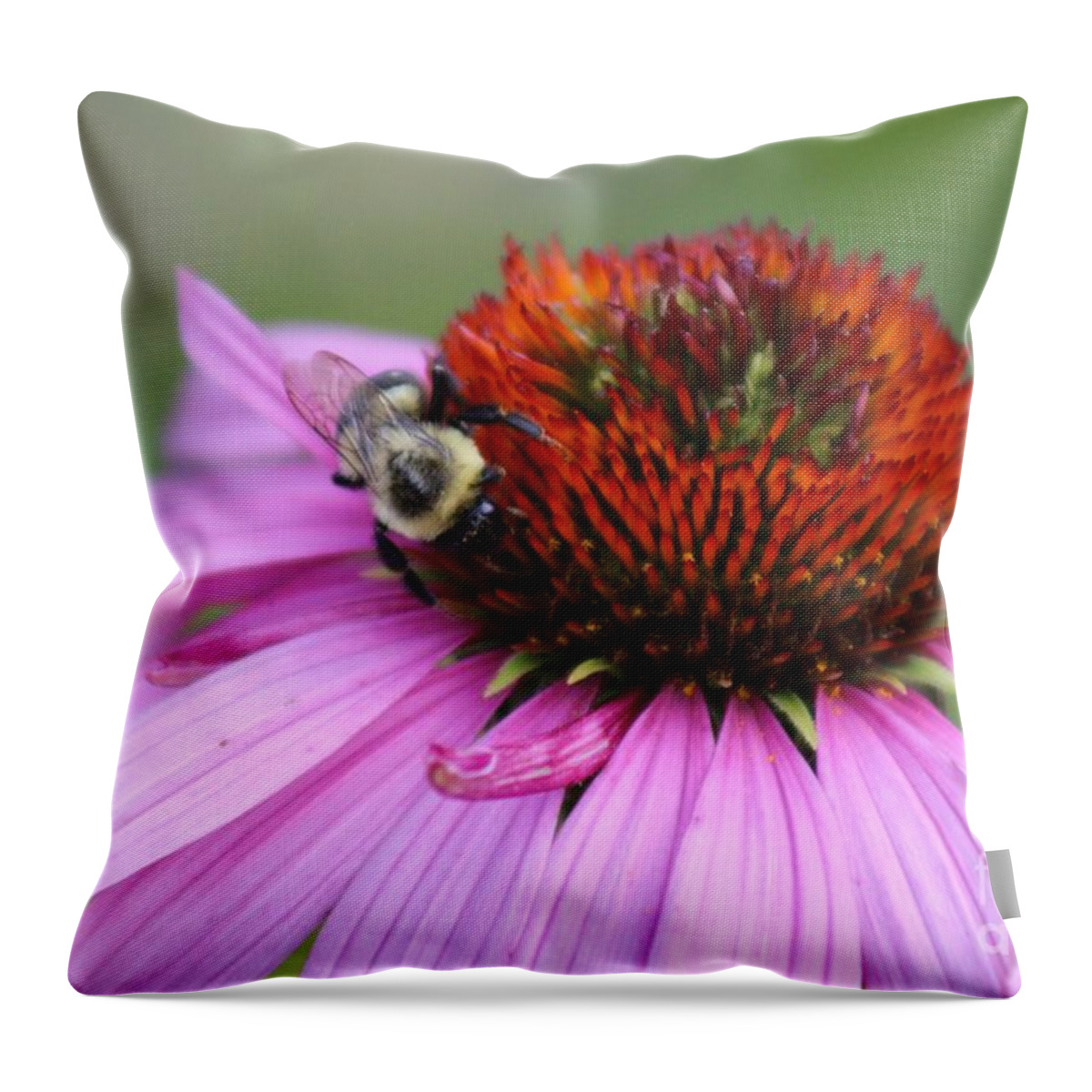 Pink Throw Pillow featuring the photograph Nature's Beauty 85 by Deena Withycombe