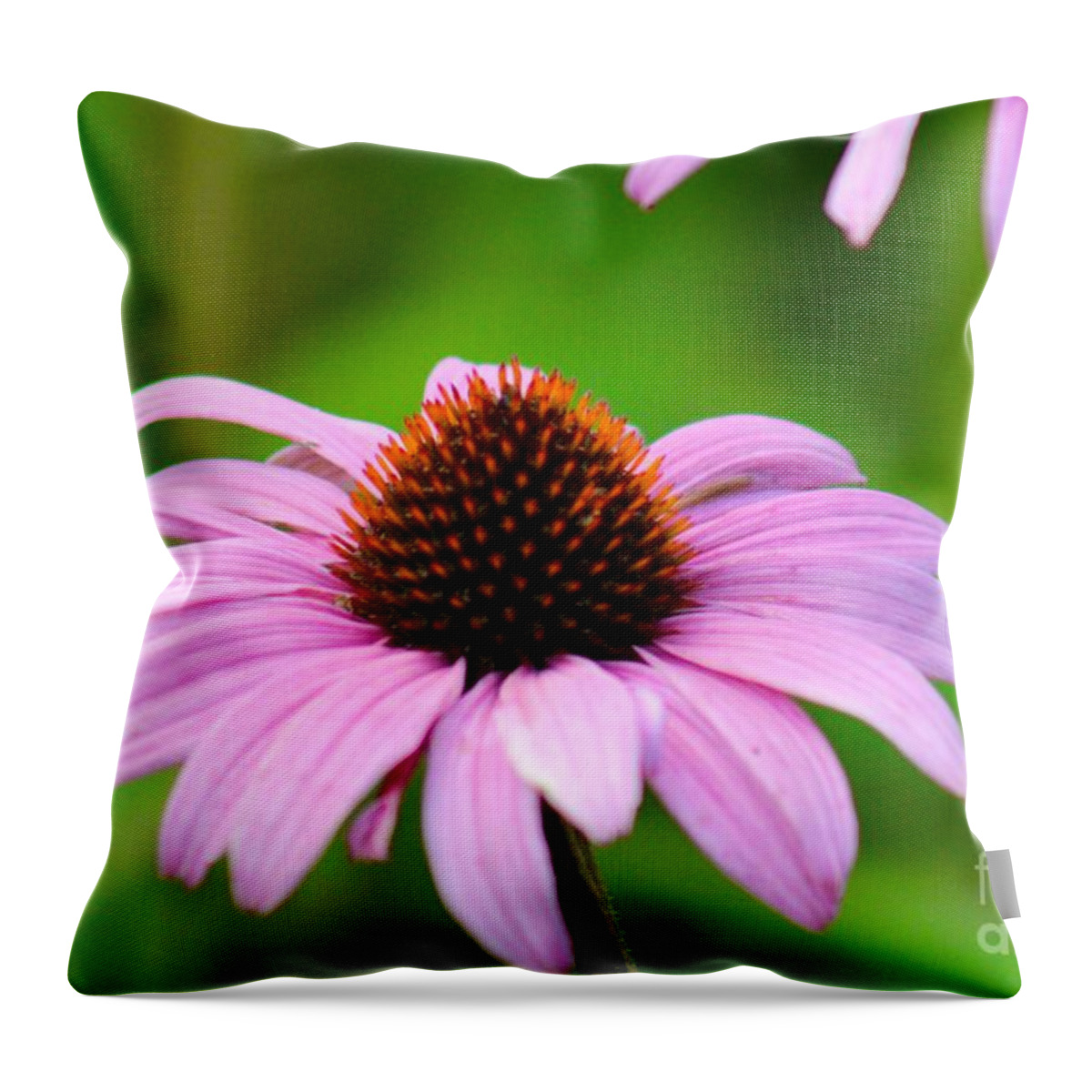 Pink Throw Pillow featuring the photograph Nature's Beauty 86 by Deena Withycombe
