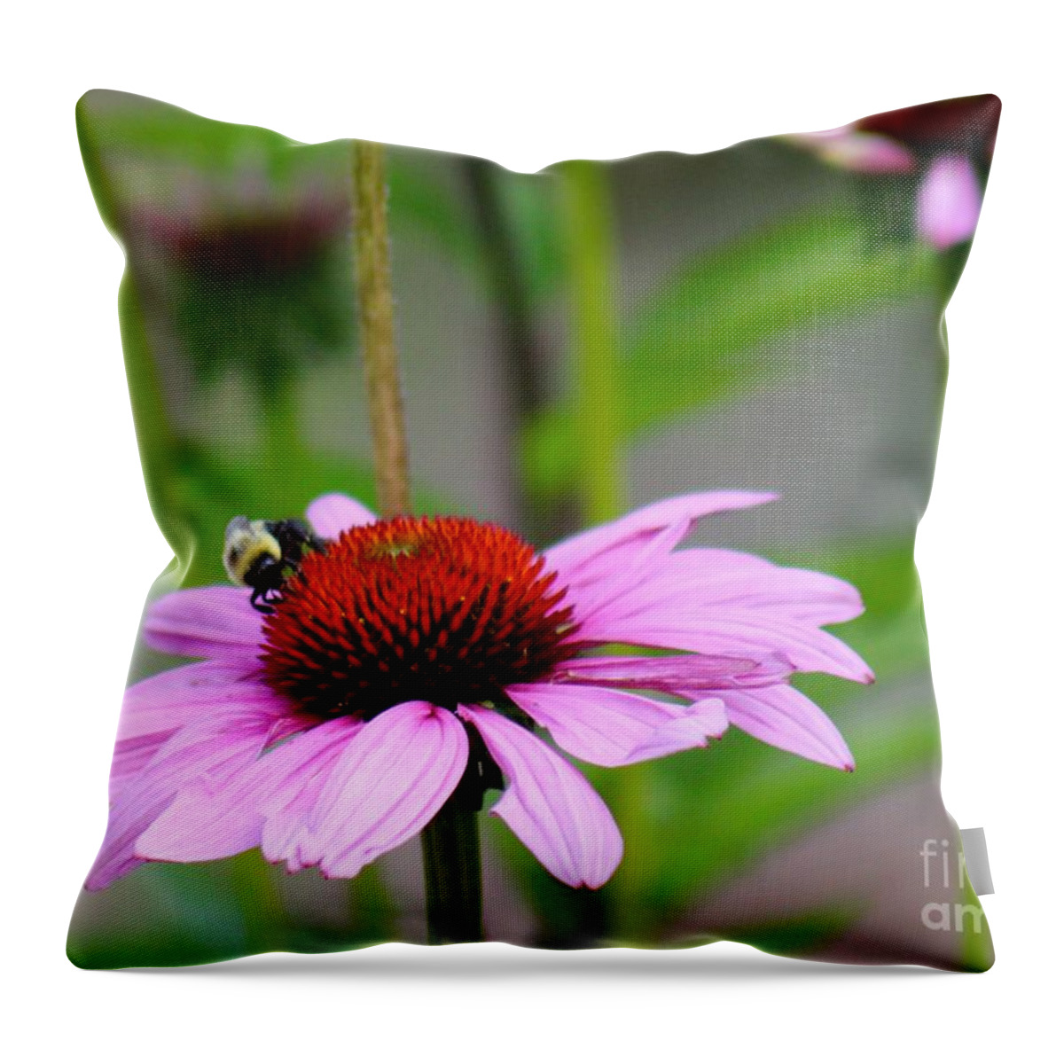 Pink Throw Pillow featuring the photograph Nature's Beauty 90 by Deena Withycombe