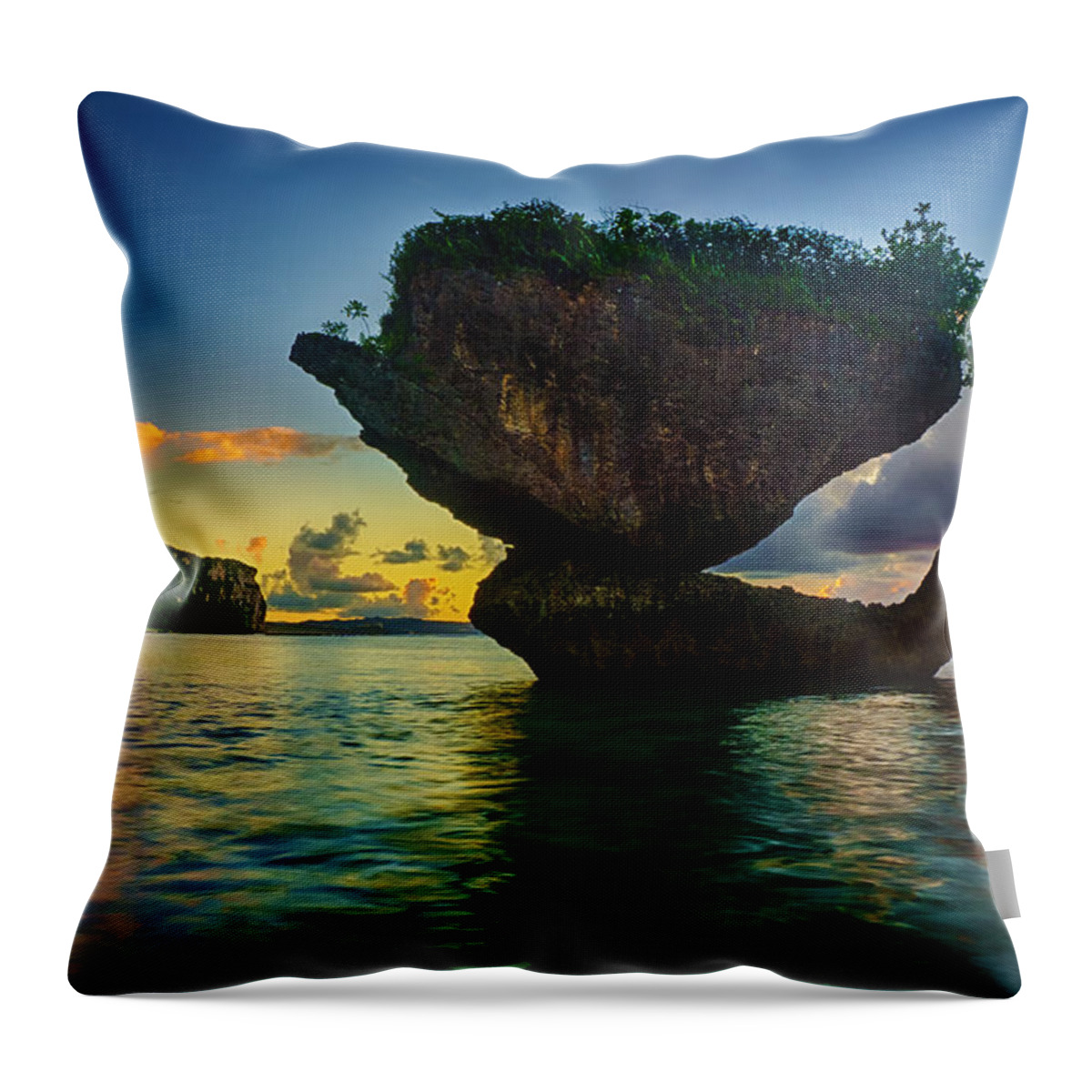 Pristine Throw Pillow featuring the photograph Nature's Sculpture by Amanda Jones