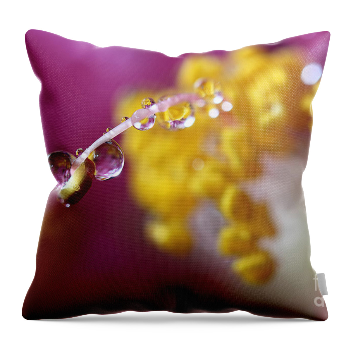Water Drops Throw Pillow featuring the photograph Natures Secrets Hide Among The Droplets by Mike Eingle