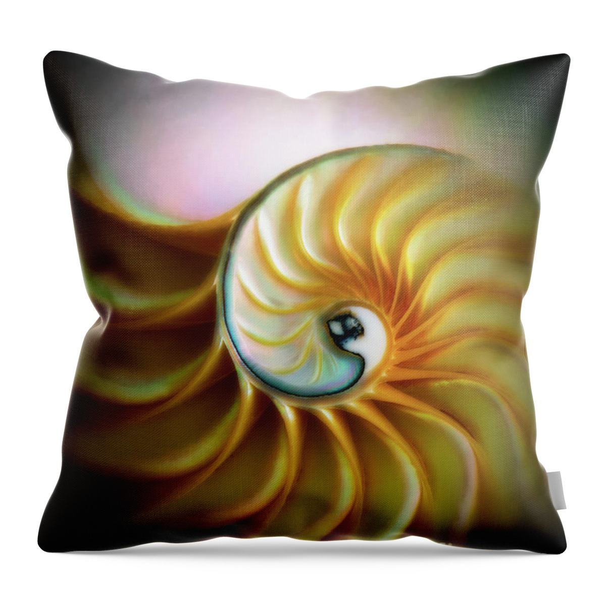 Fine Art Photography Throw Pillow featuring the photograph Nautilus #3, Sunrise by John Strong