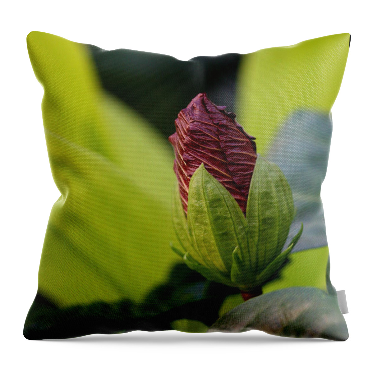 Camellia Throw Pillow featuring the photograph New Beginnings Camellia by Tammy Pool