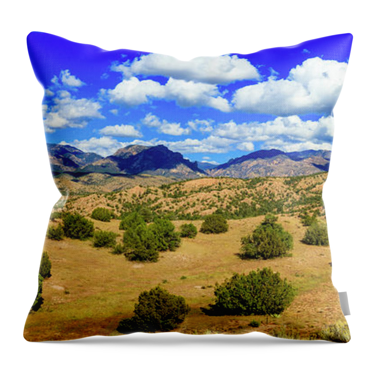 Gila National Forest Throw Pillow featuring the photograph New Mexico Beauty by Raul Rodriguez