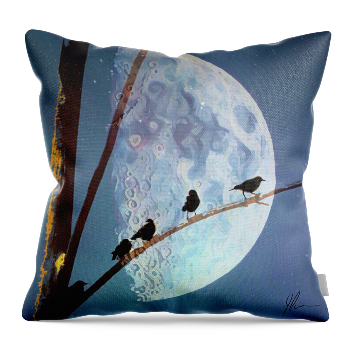 Birds Throw Pillow featuring the photograph Night by Jackson Pearson