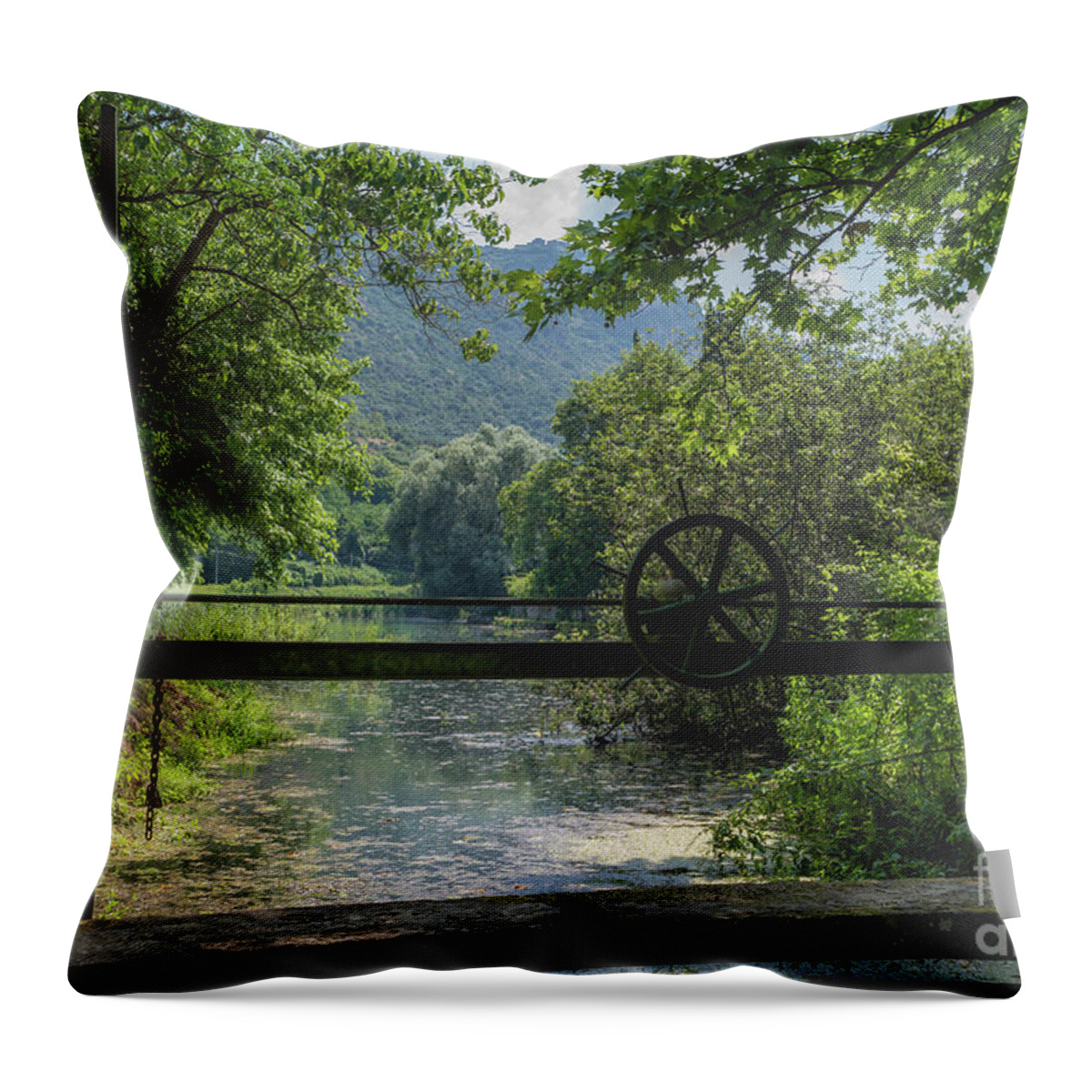 Ninfa Throw Pillow featuring the photograph Ninfa Waterway, Rome Italy by Perry Rodriguez