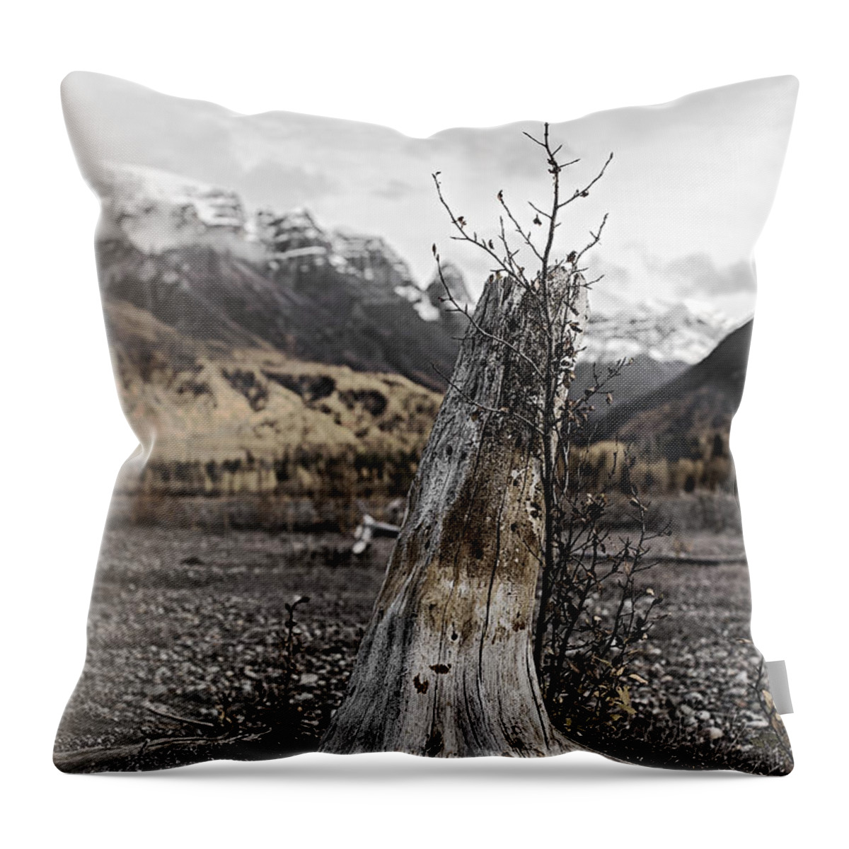Tree Throw Pillow featuring the photograph Nizina River Tree Stump by Fred Denner