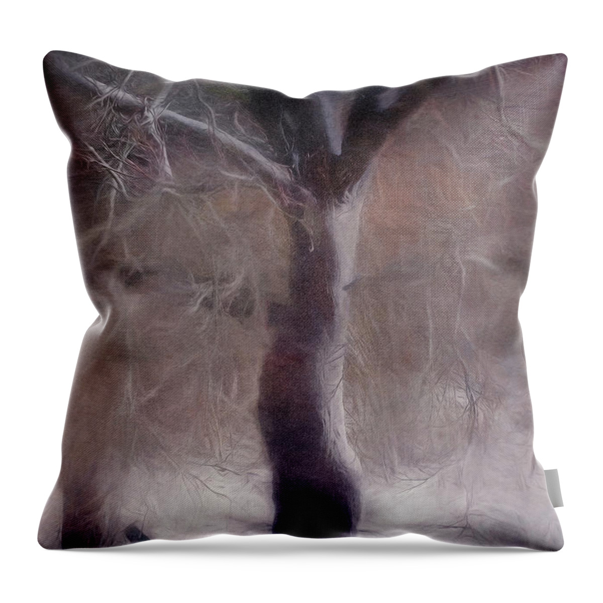 Tree Throw Pillow featuring the photograph Nor'easter #3 by Kate Hannon