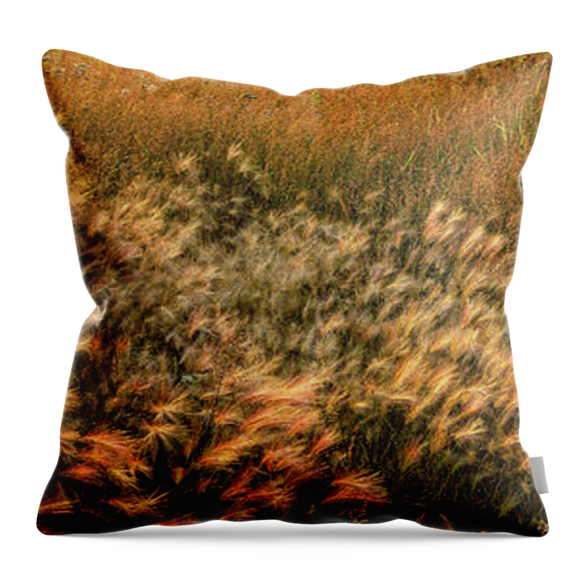 Panorama Throw Pillow featuring the photograph Northern Summer by Doug Gibbons