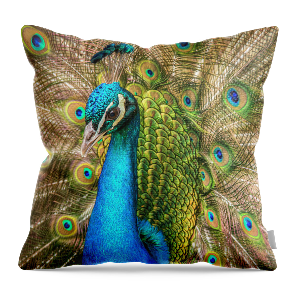 Peacocks Throw Pillow featuring the photograph Not Just A Pretty Face by Kristina Rinell