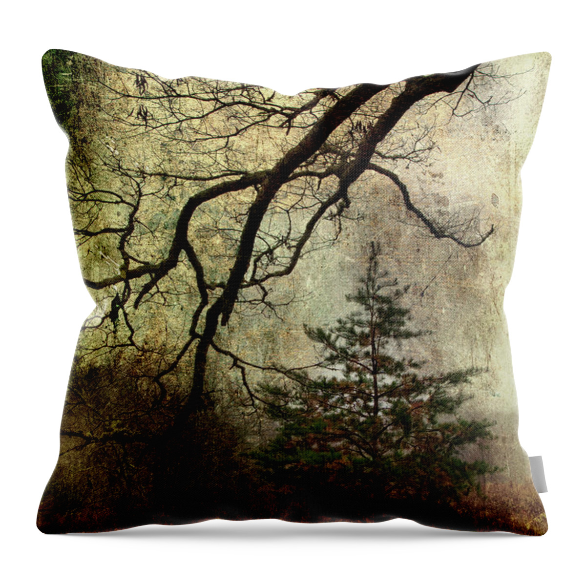 Pine Tree Throw Pillow featuring the photograph November Mood by Michael Eingle