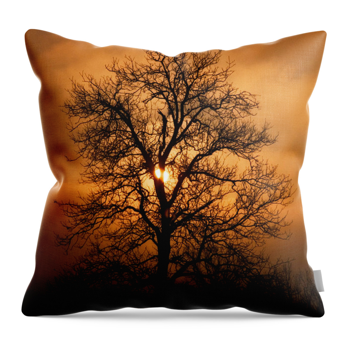 Oak Tree Throw Pillow featuring the photograph Oak Tree at Sunrise by Michael Dougherty