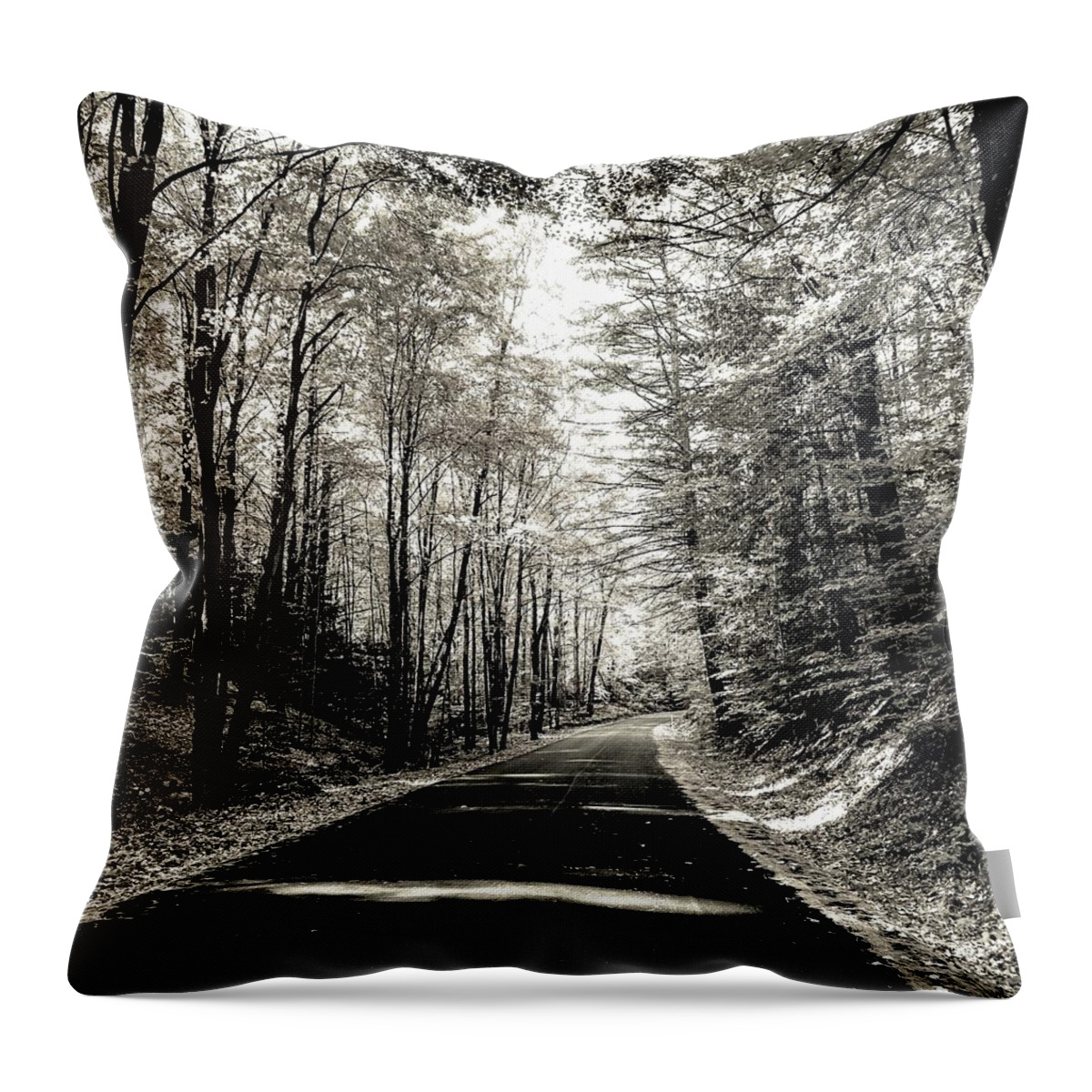  Throw Pillow featuring the photograph October Grayscale by Kendall McKernon